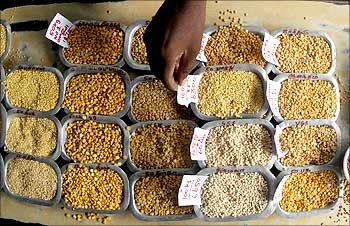 Image: A man arranges price tags on the samples of various pulses at a wholesale market in Chennai. Photographs: Babu Babu/Reuters