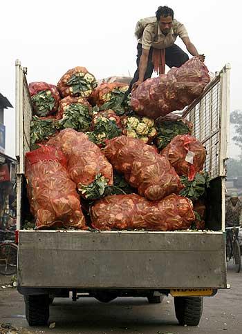 A labourer arranges sacks of vegetables on a truck.