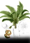 webstory image 2