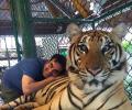 Arbaaz Khan visits Tiger Kingdom