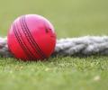 Pink cricket ball makes debut at Lord's