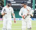 Wellington Test: Williamson, Watling fight back for New Zealand