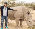 Rohit joins Hollywood stars in Kenya's anti-poaching campaign