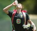 Beer and cricket go hand in hand?