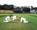 'The wicket at Basin Reserve looks like it might do a bit'