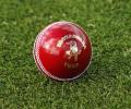 Cricket Buzz: Australia to trial new Kookaburra ball in Sheffield Shield