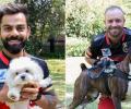 PIX: IPL stars celebrate International Dog Day