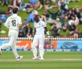 2nd Test: New Zealand on brink of victory over WI