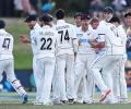 New Zealand seal victory over Pakistan in first Test