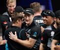 New Zealand not bothered about 'underdogs' tag