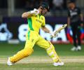 T20 WC: 'Writing Warner off was like poking a bear'