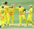 Shaken Australia face stern NZ test in ODIs