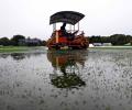 Rain dampens Sri Lanka's World Cup hopes!