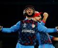 'Afghanistan were simply brilliant'