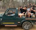 Gujarat Titans' Ranthambore Visit