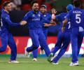 T20 WC: 'We beat Australia at last! Great achievement for Afghan cricket'