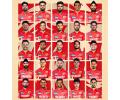 IPL 2025: Meet The Punjab Kings Squad