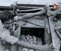 Wandering along India's coast, following fish