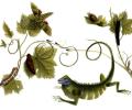 Google doodles for Maria Sibylla Merian's 366th birthday 