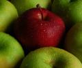 Busted!The myth about apples and doctors