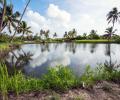 What's so magical about this tiny island in Kerala?