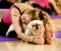 Why dogs make great yoga companions