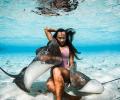 This model loves to cuddle deadly stingrays