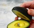 Why the Internet is in love with 'avocado proposals'