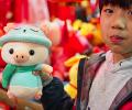 Chinese Year of the Pig: What does it mean?