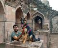 Must read! A 16-month-old German shepherd's letter