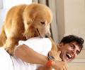 Dear Pooja: My dog won't leave me alone