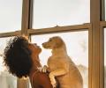 ASK POOJA: Emotionally Ready for a Pet?