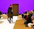 What's A Horse Doing At A Fashion Show?