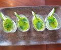 Recipe: Gordon Ramsay-Inspired Mojito Panna Cotta