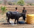 Summer Pics: The Many Moods of India