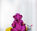 Readers' Pix: Nelson's Paper Art Ganesha