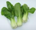 Recipe: Stir-Fried Garlic Bok Choy