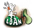 What Type Of Personal Loan Could You Opt For?