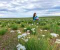 Mystical Mongolia