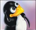 Linux a BIG hit in India