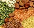 Drought: India to import food grains