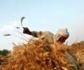 G20 ministers praise India's rural job scheme