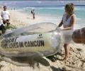 Cancun: Bad for us, bad for the climate