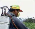 Cut excise duty on pesticides