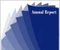 15 yrs, 900 annual reports and Rs 6 cr of revenue