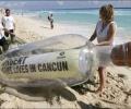 Two tracks ahead for Cancun climate talks