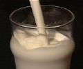 Global milk producers offer tech support to India