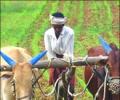 India looking to forge agri partnerships with ASEAN nations