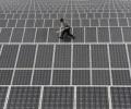 India's renewable energy growth highest globally