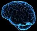 Now, computer chip based on human brain